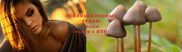 альфа пвп Кулебаки