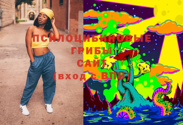 эйфоретик Кукмор