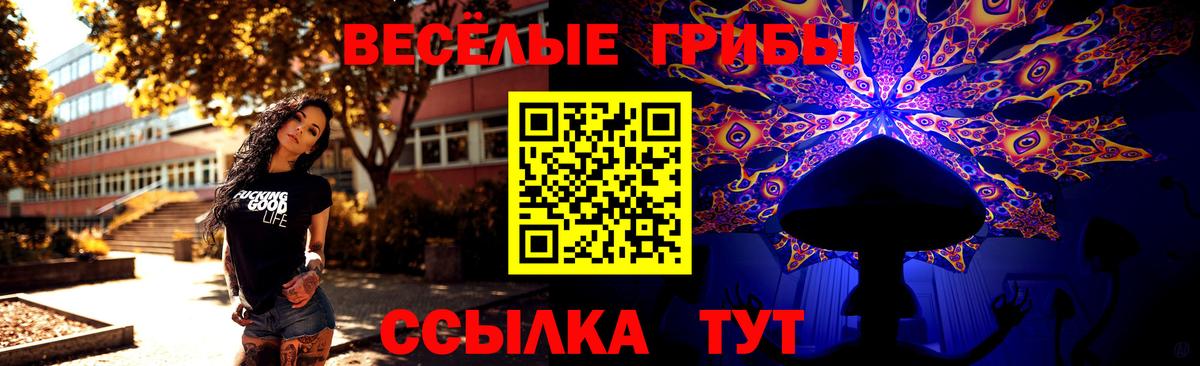 Энгельс  Галлюциногенные грибы GOLDEN TEACHER  Вход с VPN 